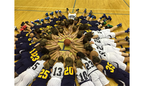 Hopewell Little Lady Vikings: Together Strong